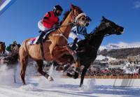 White Turf  St. Moritz 2010