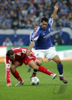 Fussball 1. BundesligaSchalke 04 1-0 FSV Mainz 05