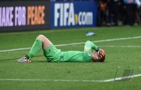 FUSSBALL WM 2014, HALBFINALE: Niederlande - Argentinien