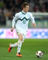 Fussball Nationalmannschaft : Valter BIRSA (Slowenien)