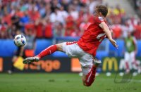 Fussball International Europameisterschaft 2016: Island - Oesterreich