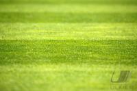 FUSSBALL EURO 2008: Tschechien - Portugal