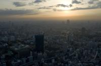 FIFA Club WM Japan 2008