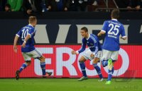Fussball 1. Bundesliga Saison 2012/2013: FC Schalke 04 - VfL Wolfsburg