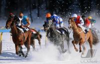 White Turf  St. Moritz 2010