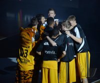 Basketball 1. Bundesliga 13/14:  Walter Tigers Tuebingen - Mitteldeutscher BC