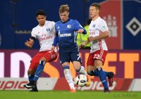 Fussball Bundesliga Saison 16/17: Hamburger SV - Schalke 04