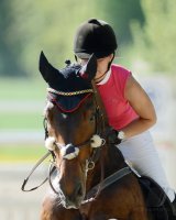 Reiten Horb-Nordstetten Turnier Mai 2012