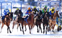 Pferdesport: White Turf  St. Moritz 2022