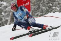 Ski Alpin; Abfahrt Training  Herren