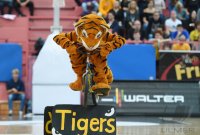 Basketball 1. Bundesliga 15/16 Hauptrunde: Walter Tigers Tuebingen - Eisbaeren Bremerhaven