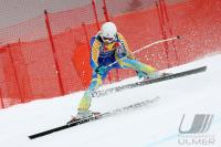 Ski Alpin  Herren  Abfahrt  Kitzbuehel Olsson