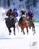 Pferdesport: White Turf  St. Moritz 2022