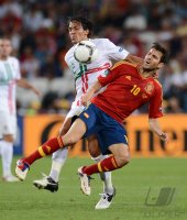 Fussball International Europameisterschaft 2012, Halbfinale: Portugal - Spanien