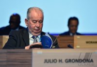 FUSSBALL 64. FIFA  Kongress in Sao Paulo 2014