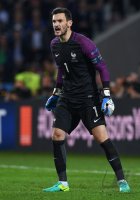 Fussball International Europameisterschaft 2016: Schweiz - Frankreich