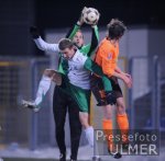 FUSSBALL 1. Bundesliga 08/09   HILDEBRAND (TSG 1899 Hoffenheim)