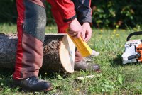 Hochschule Forstwirtschaft Rottenburg Waldwirtschaft 4.0: Digitalisierung im Prozesse der Holzernte