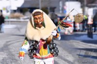 Schwaebisch-alemannische Fastnacht / Rottenburger Fasnet 2021 in Coronazeiten