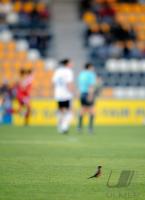 Fussball Frauen FIFA U 20  WM  2008      Vorrunde 