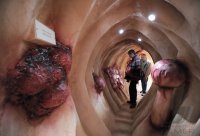 Leber-Darmtag in der Festhalle Rottenburg