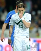 Fussball Nationalmannschaft : Zlatko DEDIC (Slowenien)