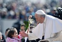 Rom Generalaudienz;  Papst Franziskus I.