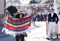 Fasnet Hirrlingen 2018; Umzug am Fasnetsdienstag