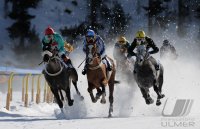 Pferdesport:  White Turf  St. Moritz 2011   Flachrennen