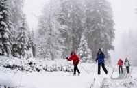Schmuckbild, Wintersport, Skilanglauf auf dem Kniebis in Baiersbronn