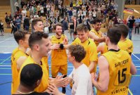 Basketball Regionalliga Suedwest 16/17