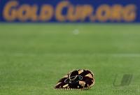Gold Cup 2007 Finale USA - Mexico
