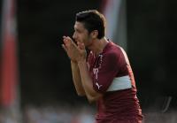 Fussball 1. Bundesliga  Saison 2010/2011  Ciprian Marica  (VfB Stuttgart)