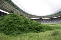 WM 2006: Berliner Olympiastadion