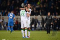 Fussball  1. Bundesliga  13/14: TSG 1899 Hoffenheim - SV Werder Bremen