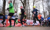 Laufen / Leichtathletik Nikolauslauf Tuebingen 2016