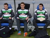 Fussball  1. Bundesliga  13/14: TSG 1899 Hoffenheim - SV Werder Bremen