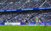 Fussball, 1. Bundesliga Saison 2012/2013: Hamburger SV - VfL Wolfsburg