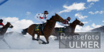 REITSPORT White Turf St. Moritz Skikjring; Feature