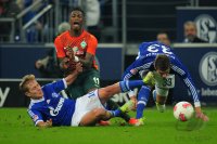 Fussball 1. Bundesliga Saison 12/13: FC Schalke 04 - Werder Bremen