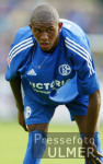 Fussball 1. Bundesliga: S04, ALCIDES