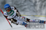 Ski Weltcup Flachau Riesentorlauf Herren - Eberharter in Aktion