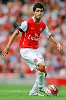 Fussball Barclays Premiership: Arsenal, FABREGAS Einzelaktion