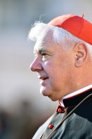 Rom Generalaudienz; Gerhard Ludwig Kardinal Mueller