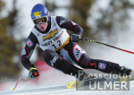 SKI   Weltcup  Abfahrt Herren ; Andreas Buder (AUT)