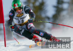 SKI   Weltcup  Abfahrt Herren ; Fritz Strobl (AUT)