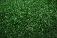 Fussball 1. Bundesliga Saison 2010/2011: Bremen - Dortmund