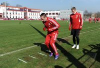 Fussball 1. Bundesliga: Franck Ribery (li,) mit Bastian Schweinsteiger (FC Bayern Muenchen)