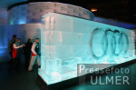 SKI  WM 2003  St.Moritz  Audi Eisbar