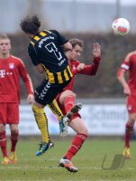 Fussball Regionalliga Sued 2012/2013:  FC Bayern Muenchen II - Bayern Hof